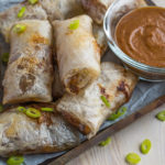 Air-fried Chinese spring rolls on a tray.
