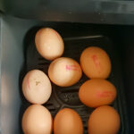 Eight brown eggs are placed in the basket of an air fryer, ready for cooking. The control panel with power and temperature settings is visible above the basket.