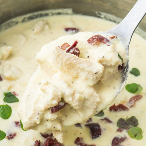 A spoonful of creamy chicken in Greek yogurt sauce with kalamata olives and fresh herbs, held above a pot filled with the same dish.