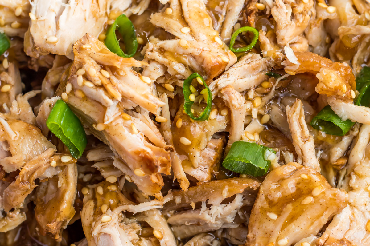 Close-up of shredded cooked chinese pork topped with sesame seeds and sliced green onion.