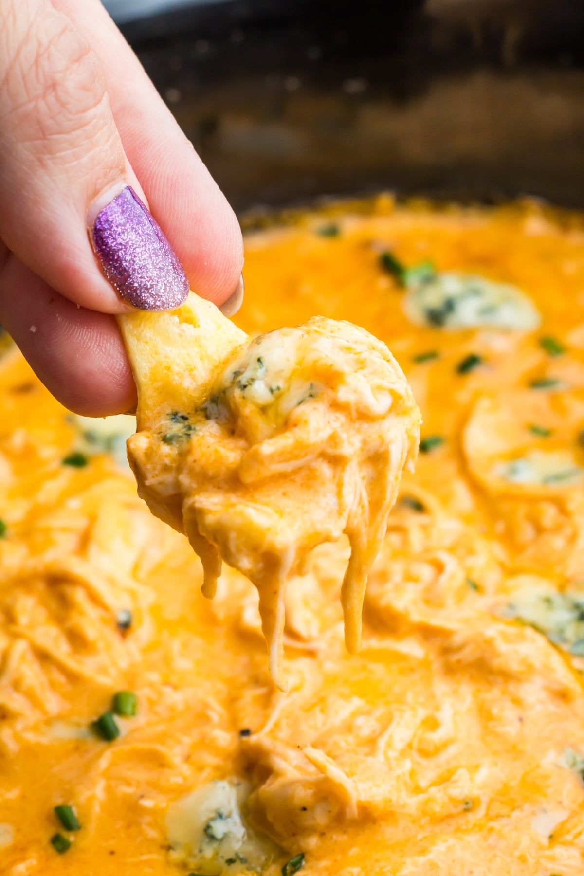 A hand with purple nail polish holds a chip dipped in a creamy crockpot buffalo chicken dip with herbs.