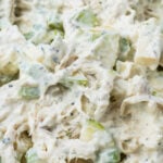 Close-up of a creamy Greek yogurt chicken salad with chunks of chicken, celery, and apple, all mixed in a dressing.