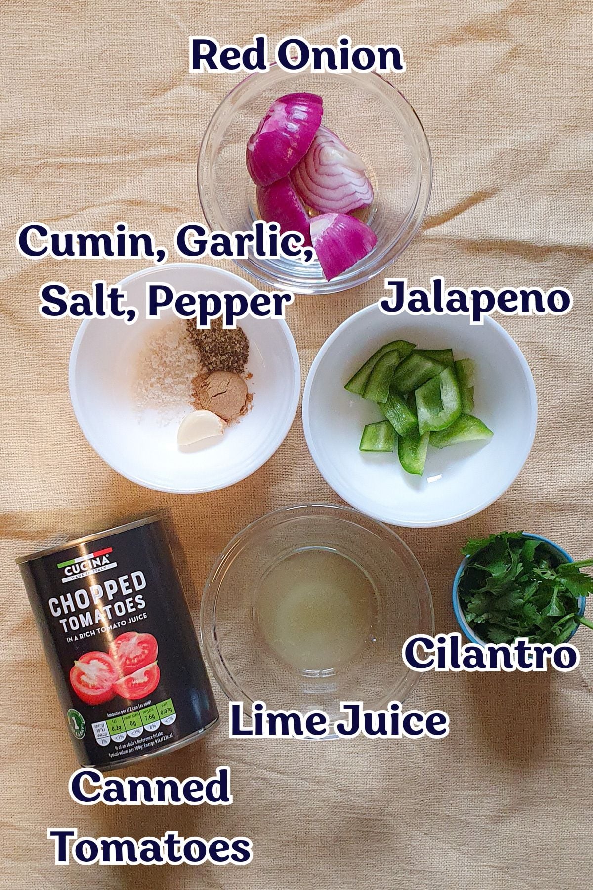 Ingredients for salsa arranged on a cloth: chopped red onion, jalapeno, cilantro, lime juice, cumin, garlic, salt, pepper, and a can of chopped tomatoes.