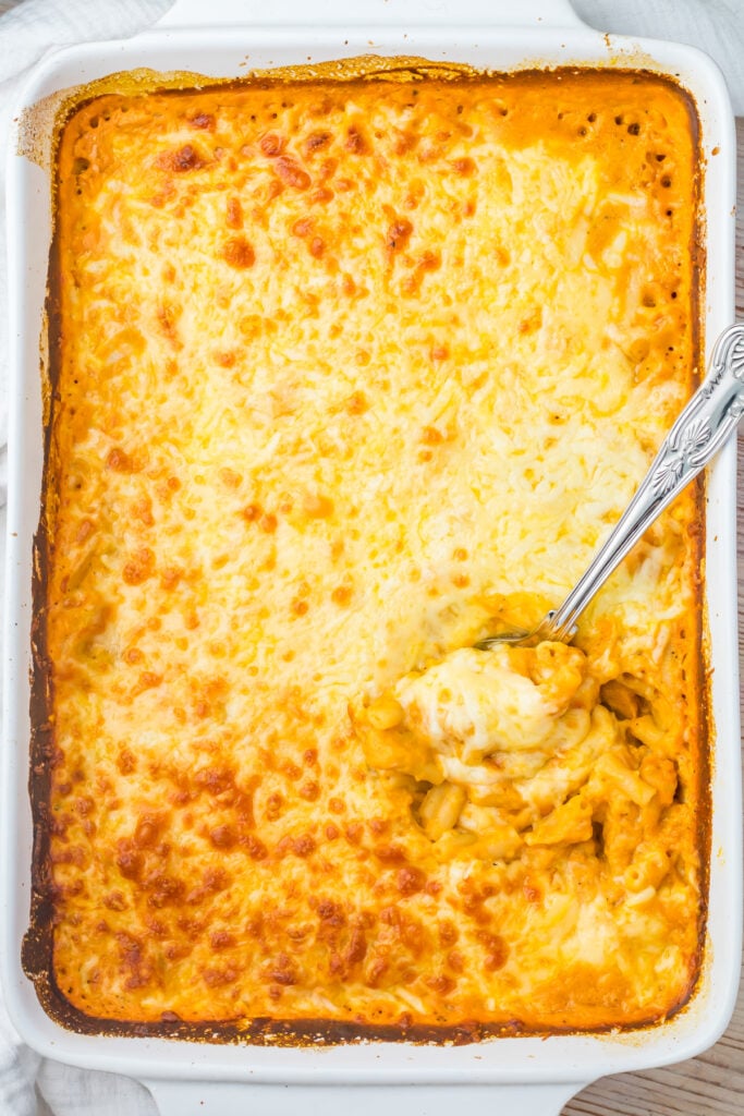 A baking dish filled with baked pumpkin mac and cheese, with a serving spoon taking out a portion from one corner.