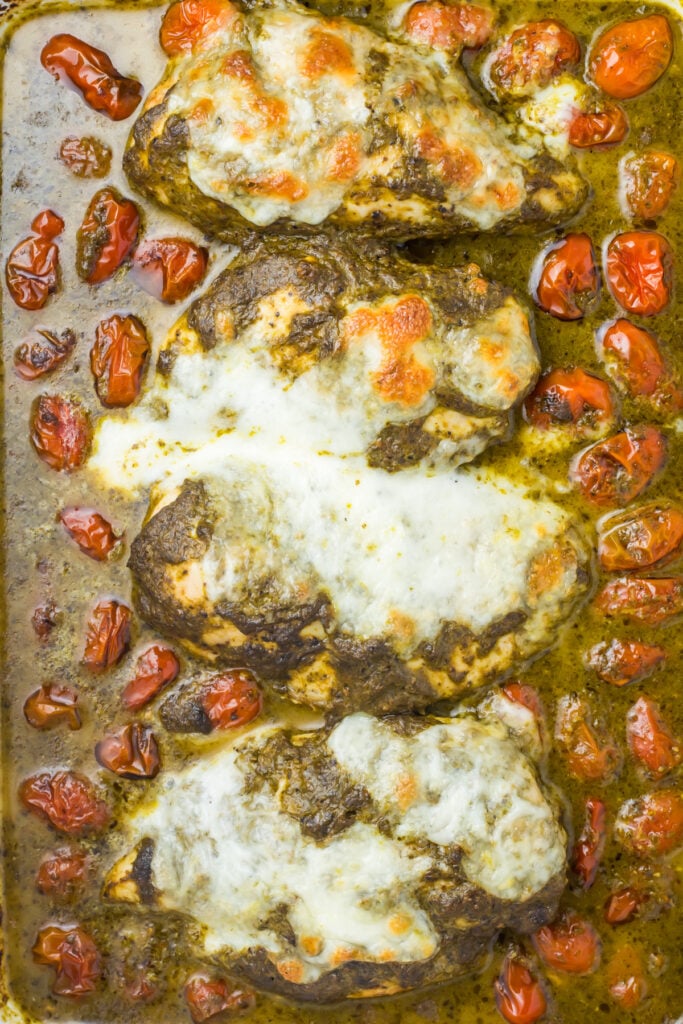 Pesto chicken bake in pesto sauce with melted mozzarella and cherry tomatoes in a baking dish.